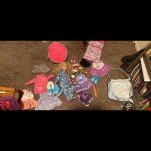 Blue and Pink Doll Set with Accessories